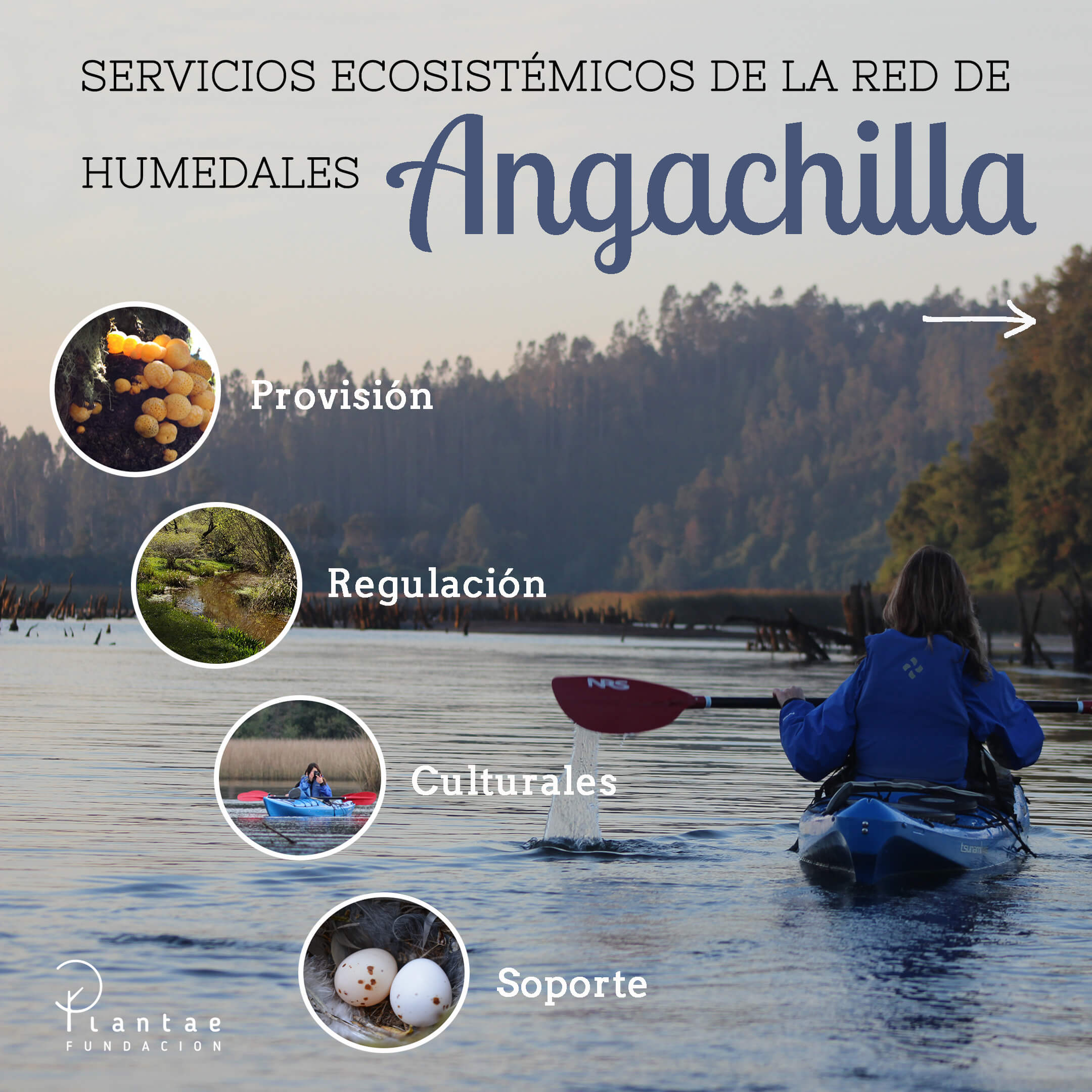 Santuario de la Naturaleza Humedal Angachilla