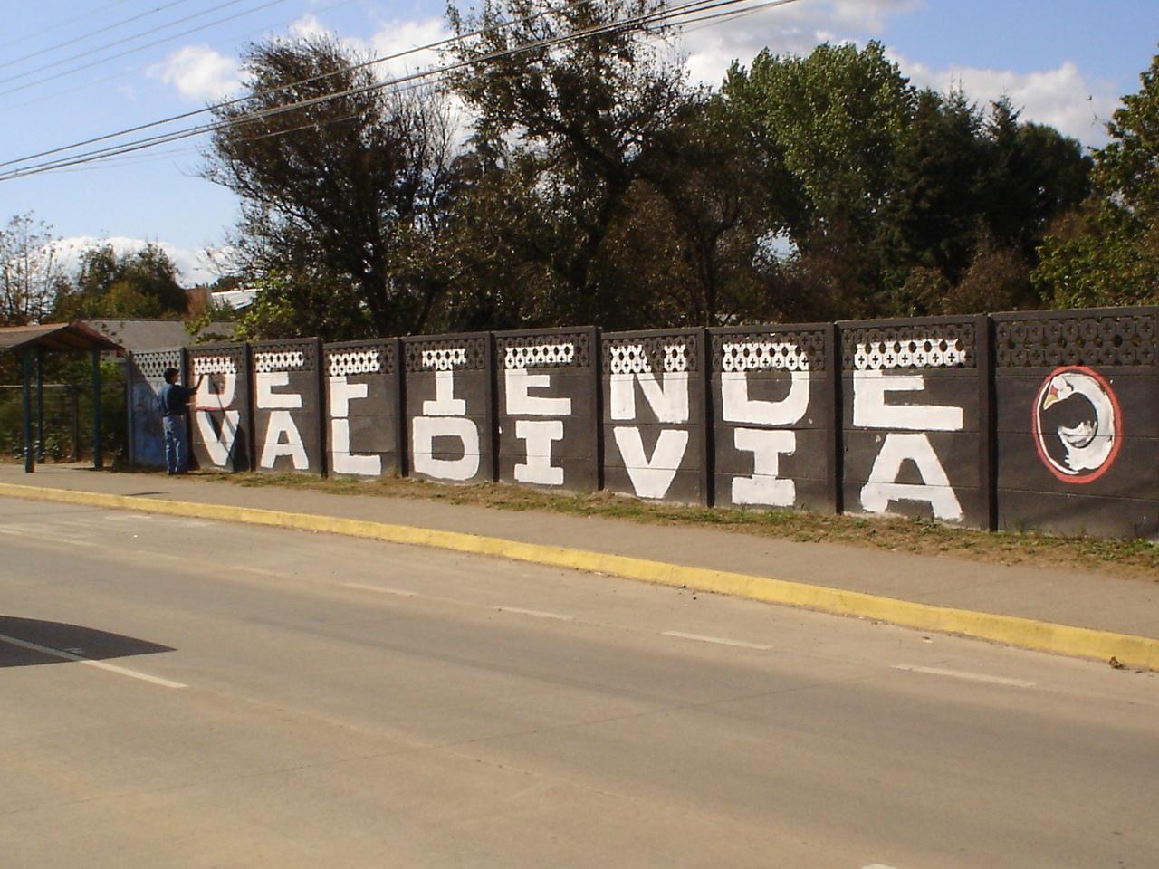 Manifestaciones ciudadanas del movimiento social "Acción por los Cisnes" - Crédito: Archivo Acción por los Cisnes