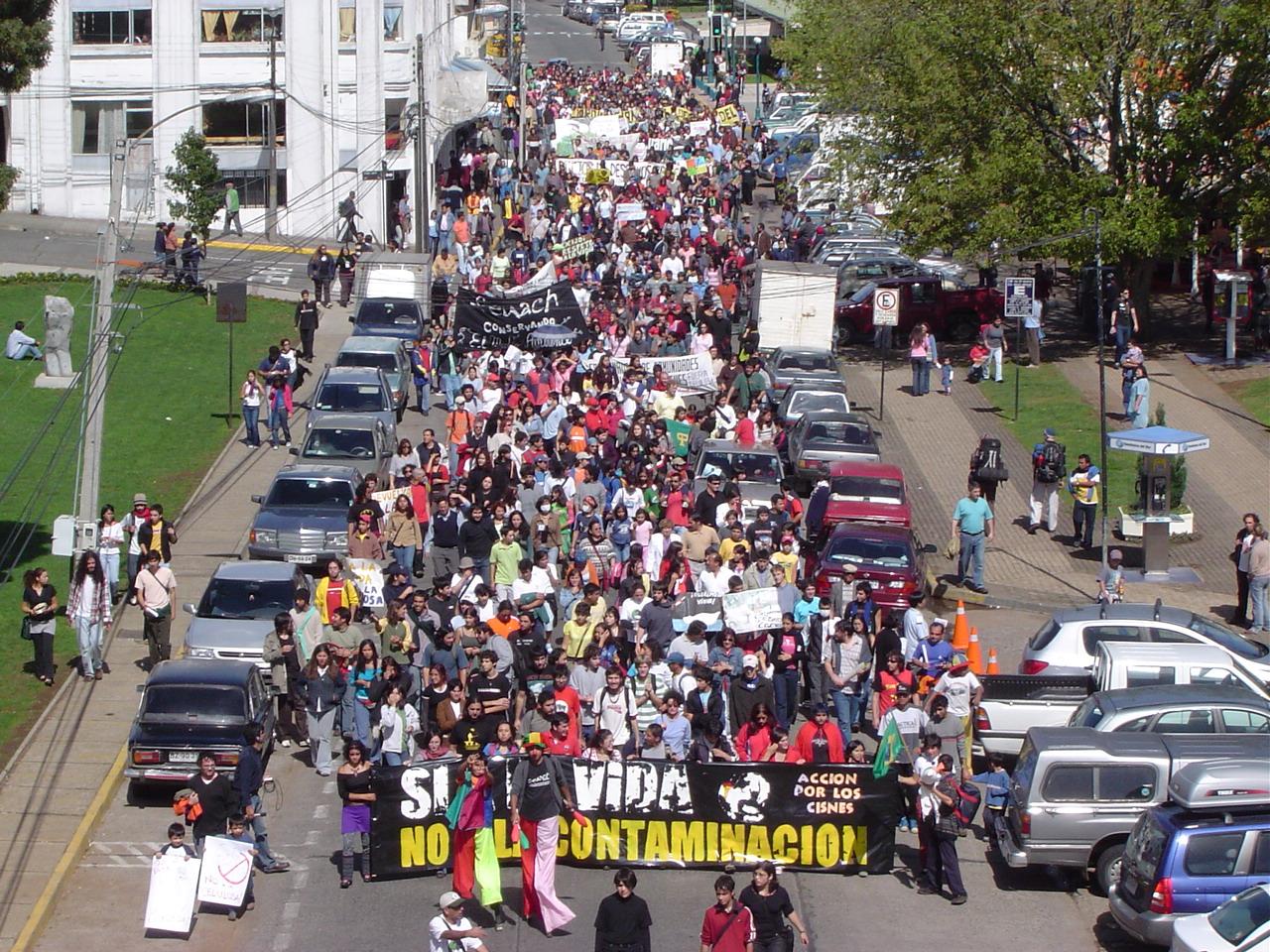 Manifestaciones ciudadanas del movimiento social "Acción por los Cisnes" - Créditos: Archivo Acción por los Cisnes