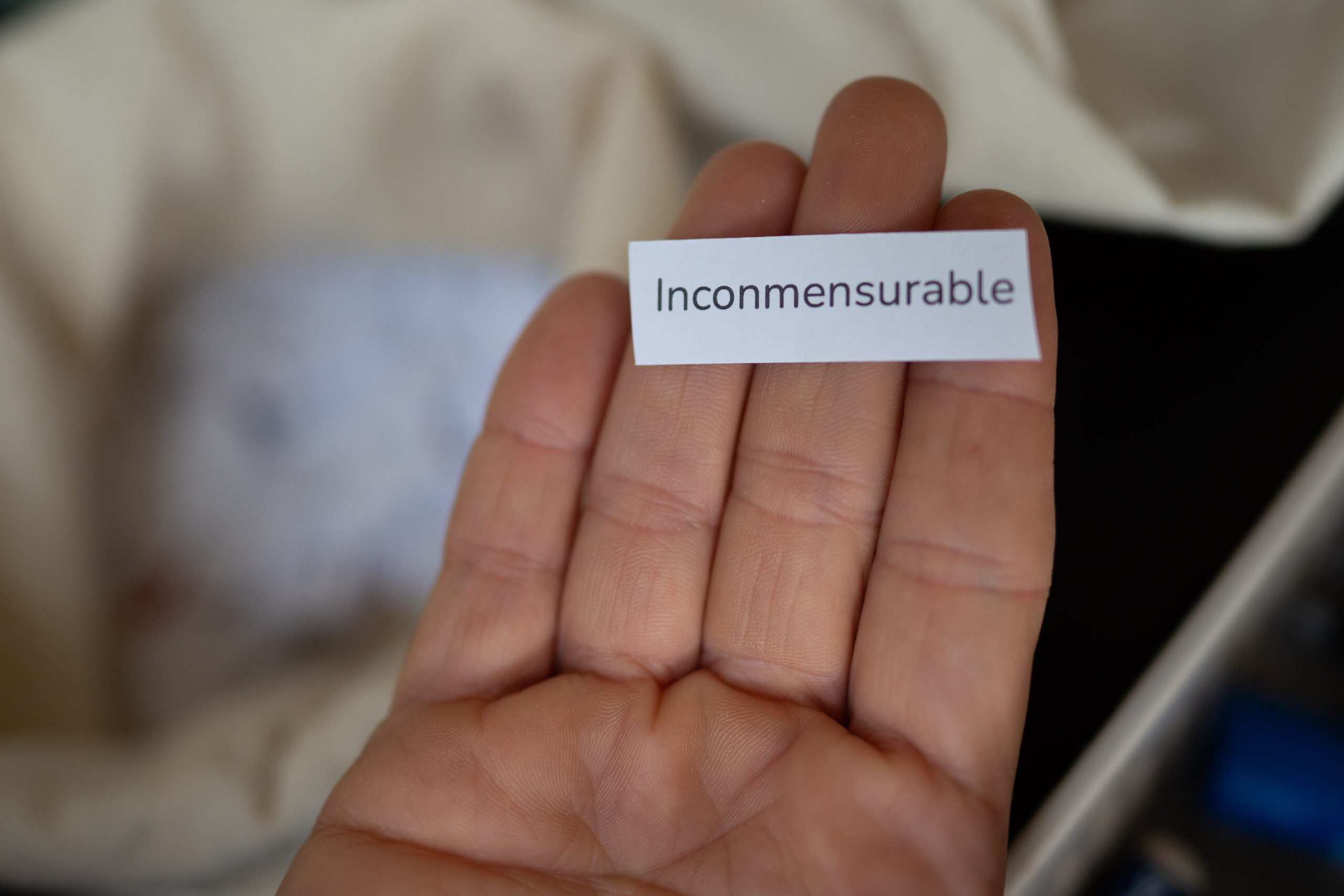 Fragmentos Glaciares, Museo Bellas Artes. Créditos: Mariana Canobra