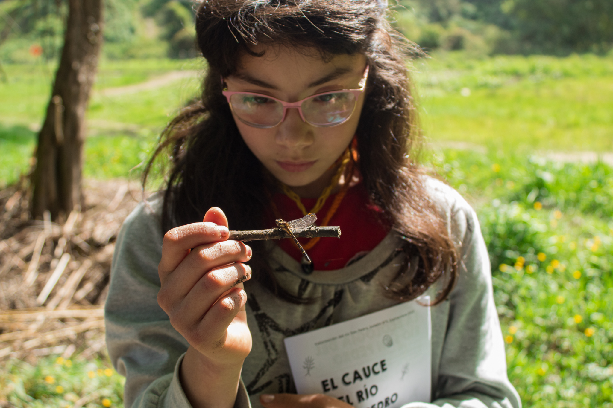 Programa Valorización del río San Pedro