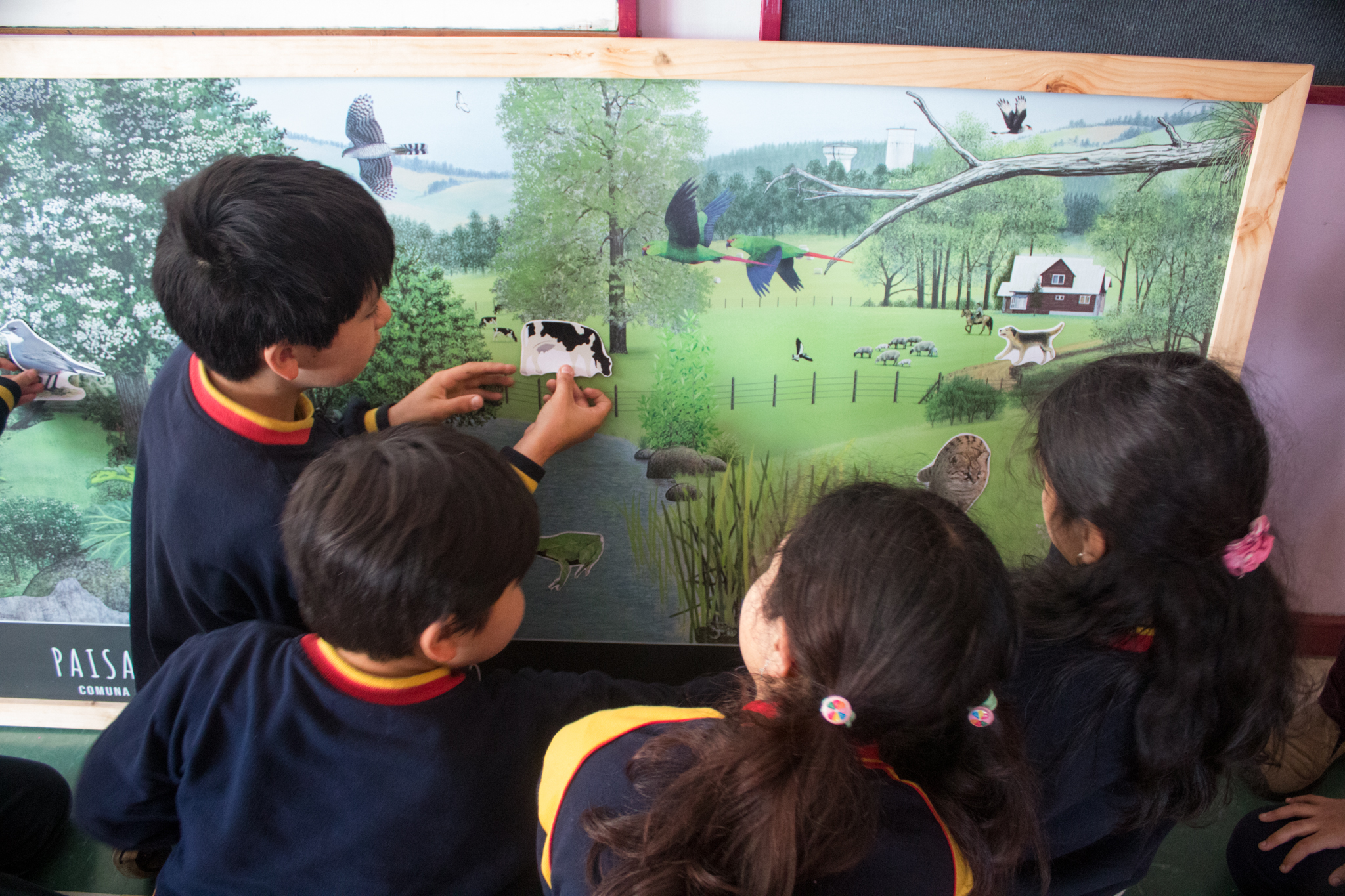 Programa Valorización del río San Pedro