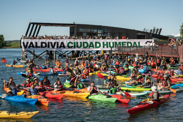 Valdivia, 20 años construyendo su identidad como Ciudad Humedal