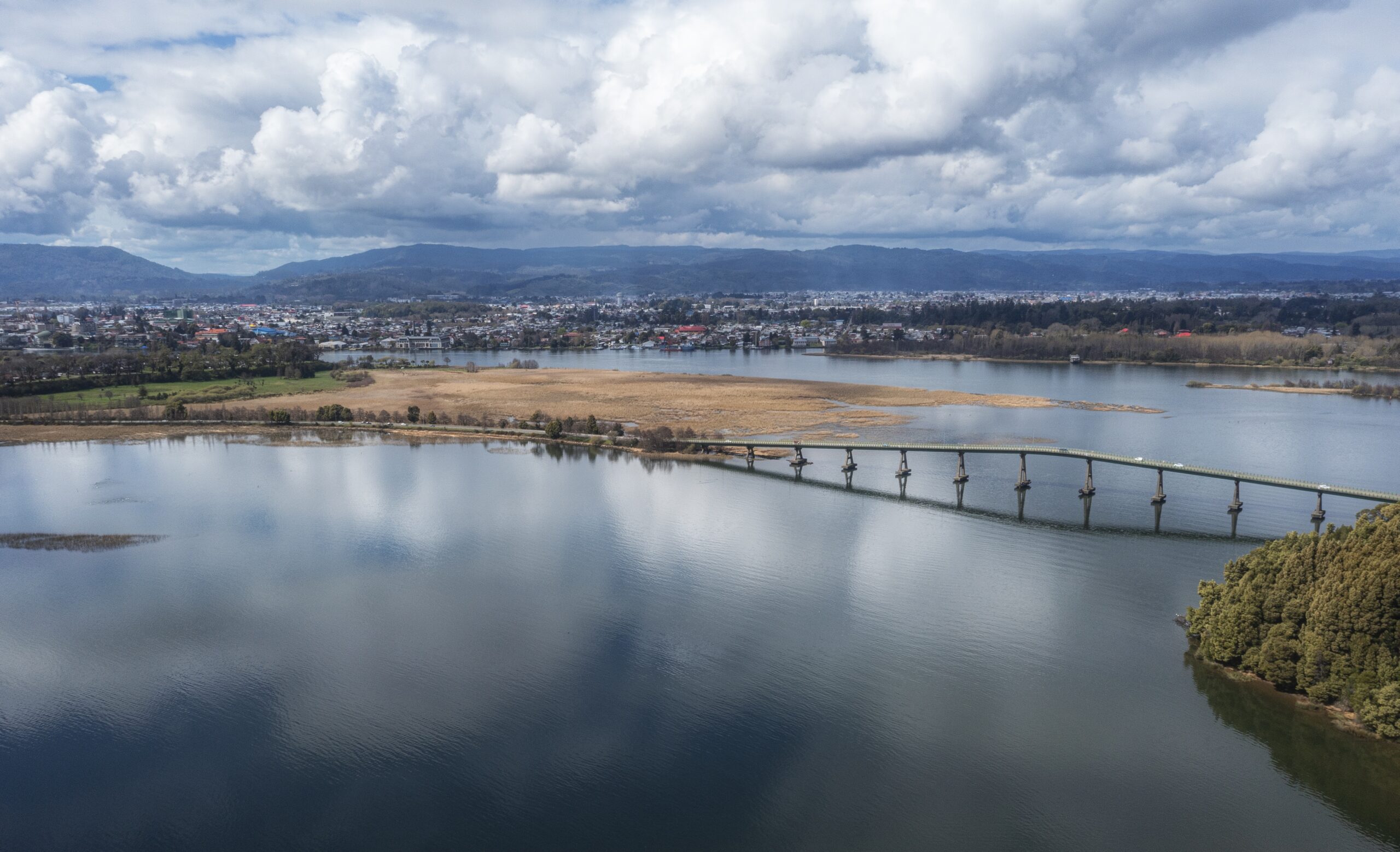 Santuario de la Naturaleza Río Cruces y Chorocamayo - Créditos: Marcelo Cárcamo