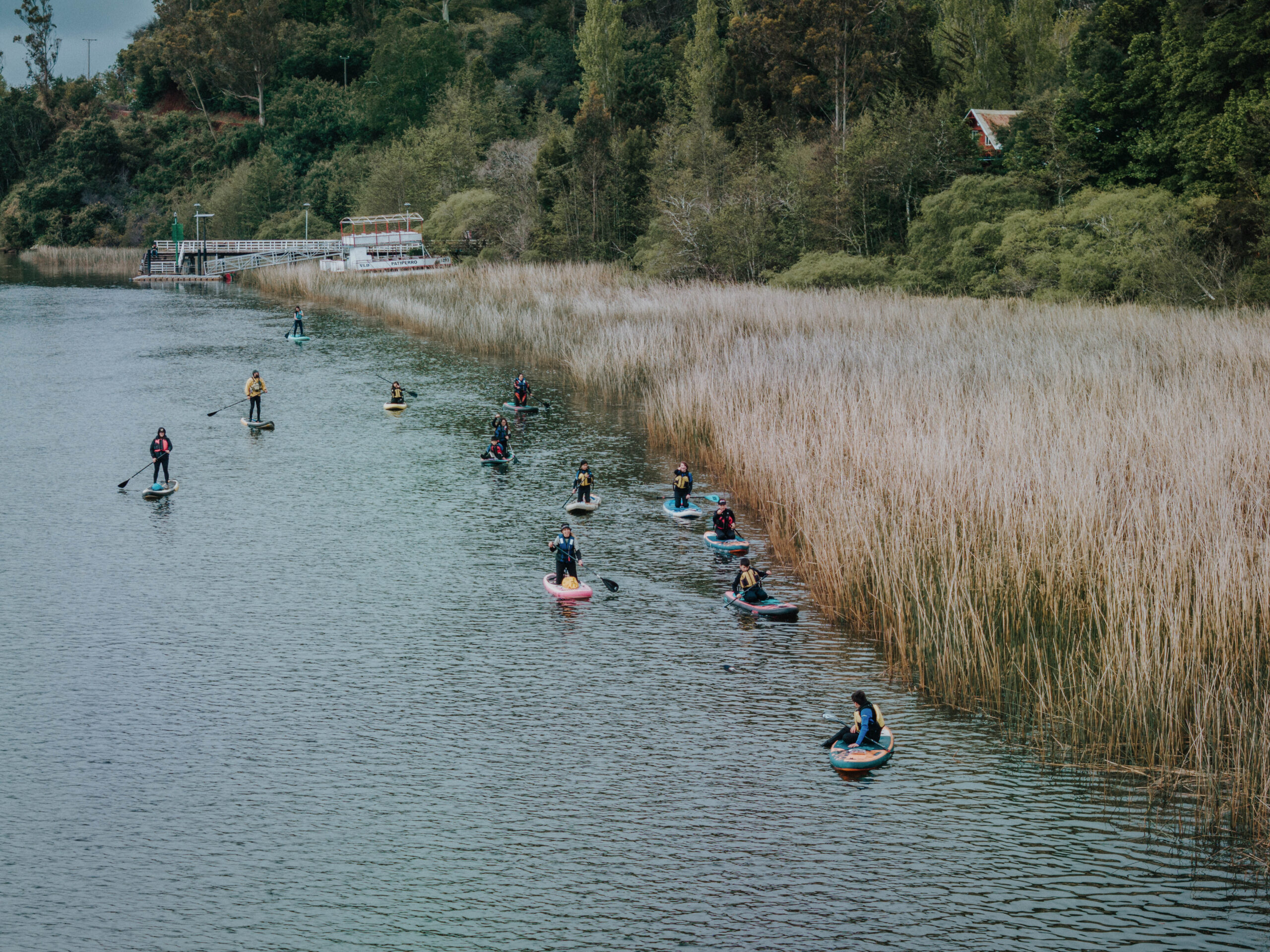 Programa Aula en Río, río Cruces. Créditos: Pablo Lloncón