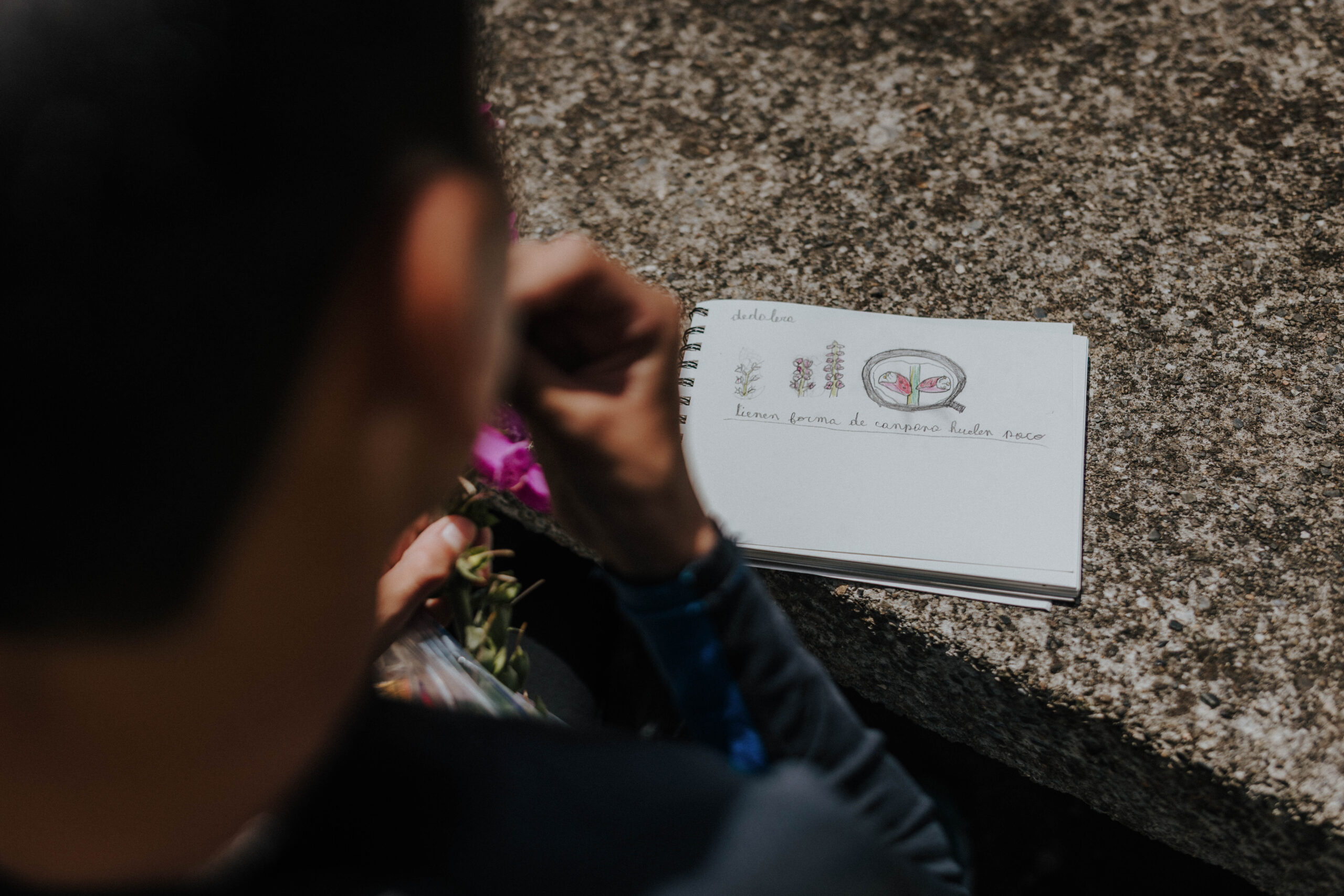 Aula en Río, Lago Ranco, créditos: Pablo Lloncón