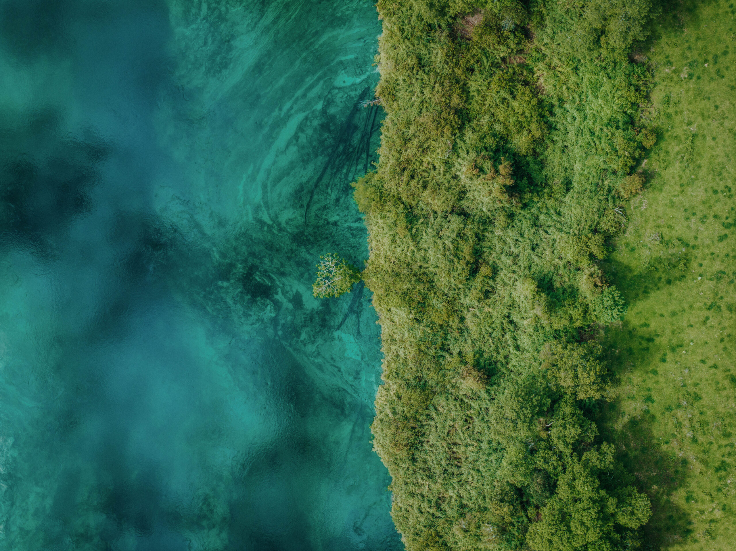 Río San Pedro, créditos: Pablo Lloncón